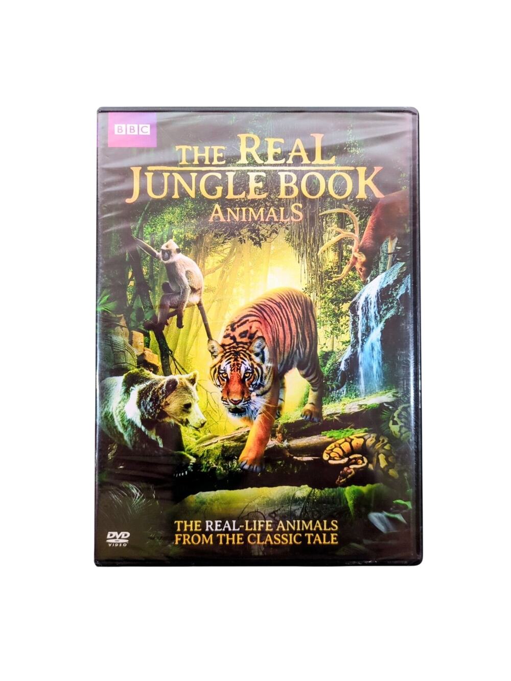 The Real Jungle Book Animals DVD 2014 BBC Documentary Wildlife NTSC Region 1 New
